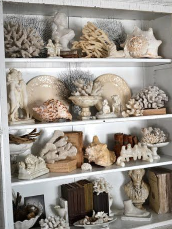 Koleksi karang dan kerang sebagai dekorasi